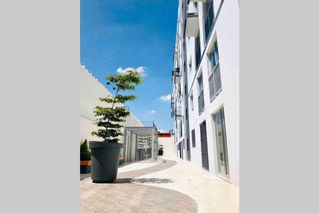 Departamento *MUNDO VIAJERO* Guadalajara Apartment Bagian luar foto